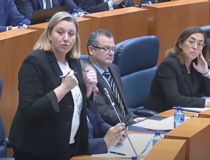 La consejera de Familia e Igualdad de Oportunidades, Isabel Blanco, en las Cortes.