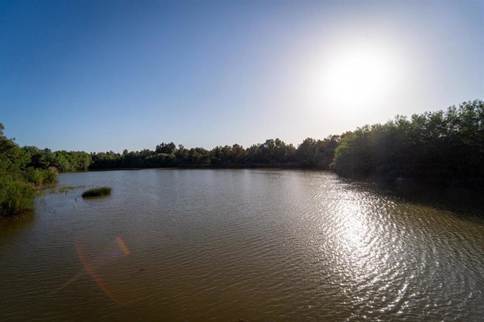 Corredor verde del Guadiamar en el municipio de Sanlúcar la Mayor, a 22 de abril de 2023, en Sevilla, (Andalucía, España).