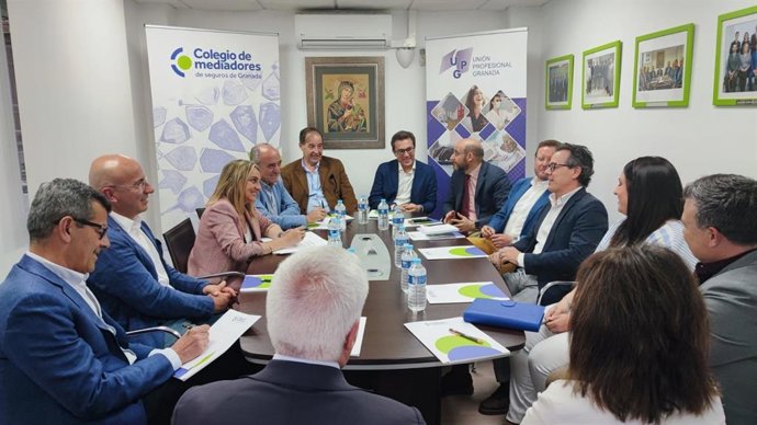 Reunión de Marifrán Carazo con representantes de colegios profesionales de Granada