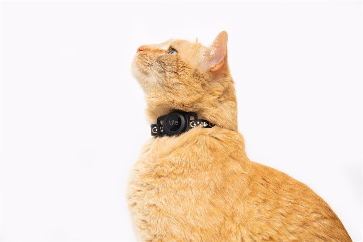Tile creó un collar Bluetooth para saber por dónde anda tu gato