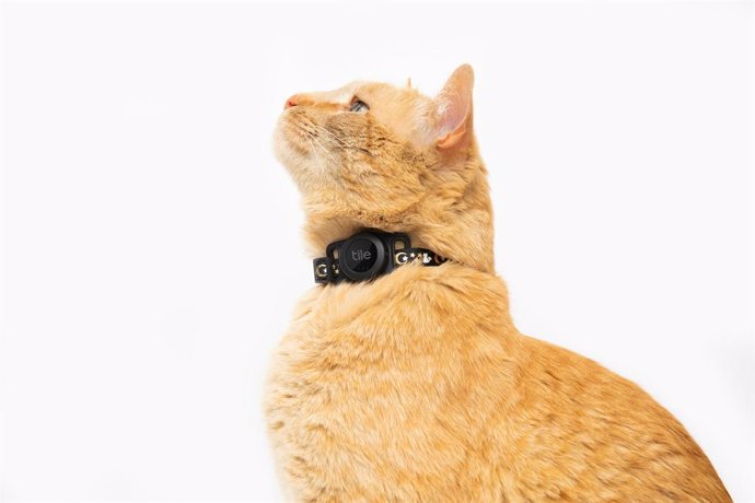 Dispositivo rastreador con Bluetooth Tile for cats