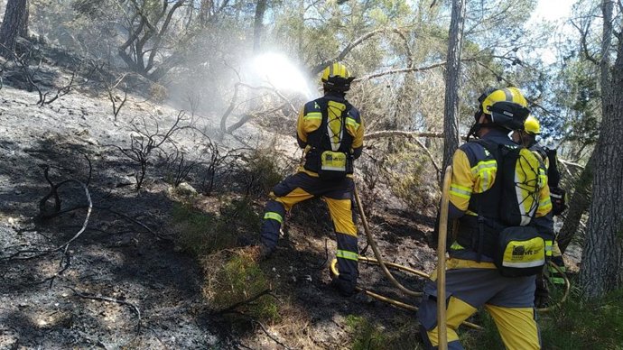 Dos técnicos del Ibanat sofocan el incendio declarado en Can Burguera.