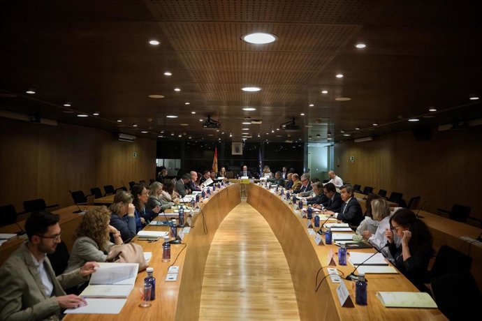 Martín, al fondo de la imagen, preside su primera Comisión de Asistencia al Delegado desde su toma de posesión.