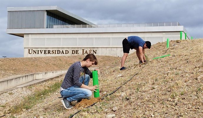 Plantación de árboles en el Campus de Linares
