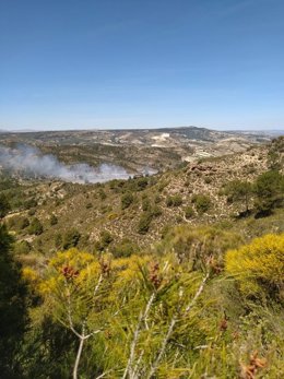 Incendio en el paraje Río Añales, en Arenas del Rey, este pasado martes