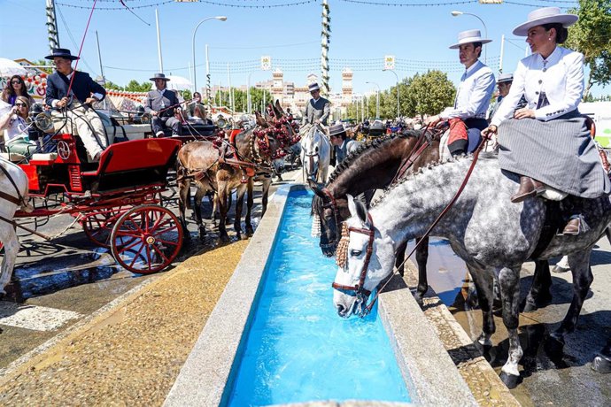 Caballos en el abrevadero del recinto ferial de la Feria de Abril de Sevilla