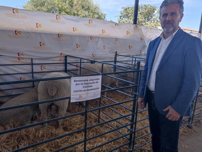 El delegado de Agricultura de la Diputación de Córdoba, Francisco Ángel Sánchez, en el sorteo de los sementales de raza ovina Merina Fleischschaf.