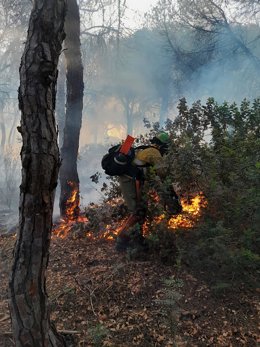 Imagen de uno de los bomberos forestales del Plan Infoca trabajando en la tarde de este pasado miércoles en el incendio de El Portil (Huelva).