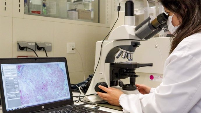 Archivo - Investigación del nanomedicamento para tratar la enfermedad rara de Fabry.