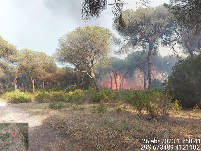 Imagen del incendio en la zona de El Portil (Huelva).