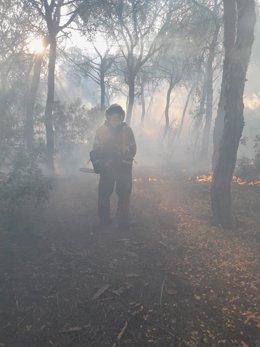 Un bombero trabajando en el incendio declarado este miércoles en El Portil (Huelva).