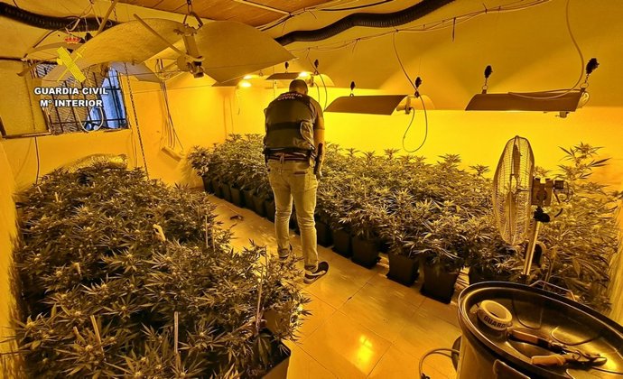 Operación 'Golden Flight'