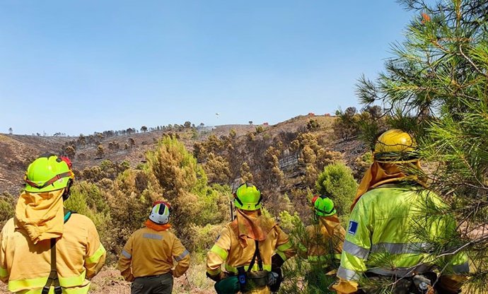 Archivo - Bomberos en el incendio de Férez