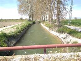 Archivo - Los canalEs de Urgell riegan 75.000 hectáreas.
