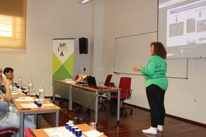 Una sesión del curso 'Cata de aceite de oliva virgen'.