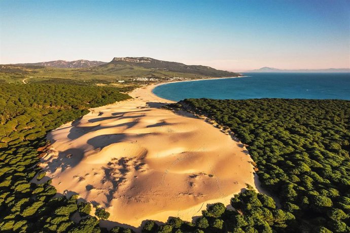 Duna de la playa de Bolonia, en Tarifa (Cádiz)