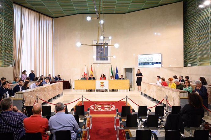 Pleno extraordinario en el Ayuntamiento de Almería