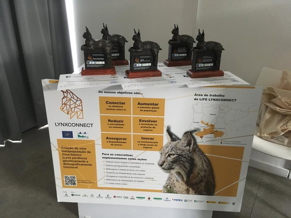 La Junta entrega a la 'Finca Arenillas' el premio Life LynxConnect por su labor con el lince ibérico