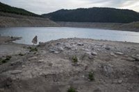 Jové (canal Segarra-Garrigues) dona per "perduda" la collita de fruita aquesta temporada per la sequera