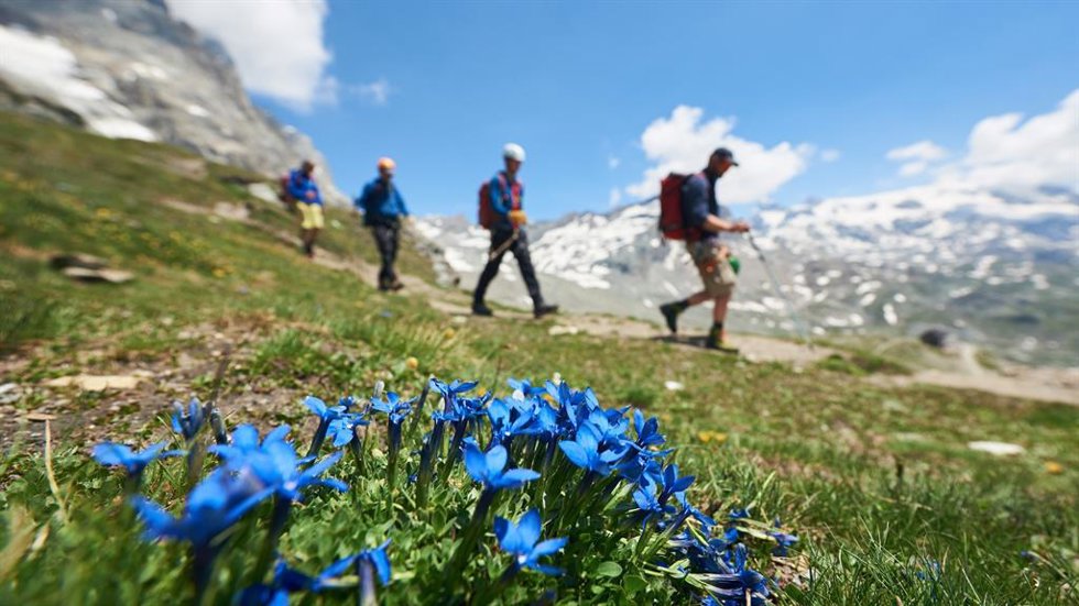 El turismo puede ser un gran potencial para los ecosistemas y las comunidades de montaña