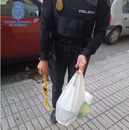 Un Agente de la Policía, con una palanqueta y otros enseres incautados a los dos detenidos por daños en los sistemas de seguridad 'antiokupas' de una vivienda en Manacor