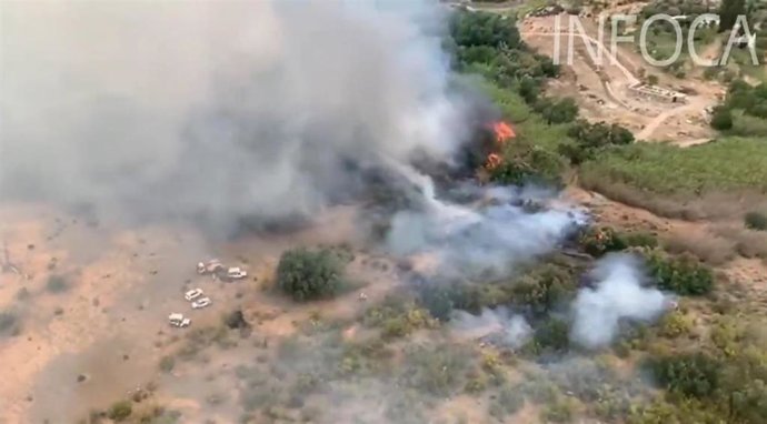 Incendio forestal en el paraje Río Guadalfeo de Órgiva