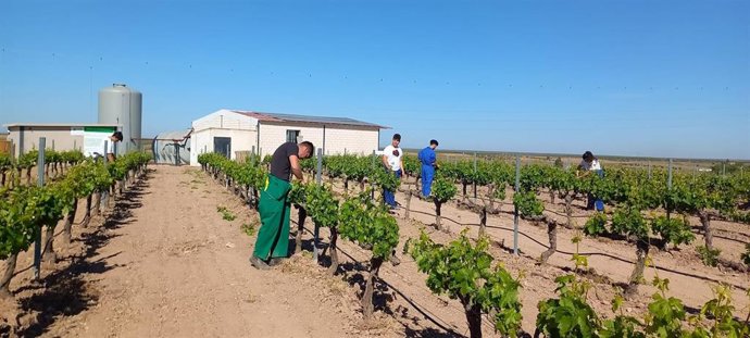 Alumnos de un centro de formación rural en un curso de viticultura.