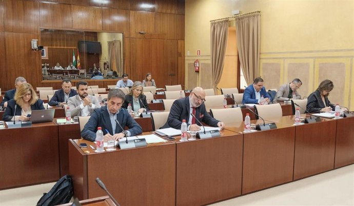 Archivo - Diputados de la comisión de Fomento, Articulación del Territorio y Vivienda del Parlamento andaluz, en una foto de archivo.