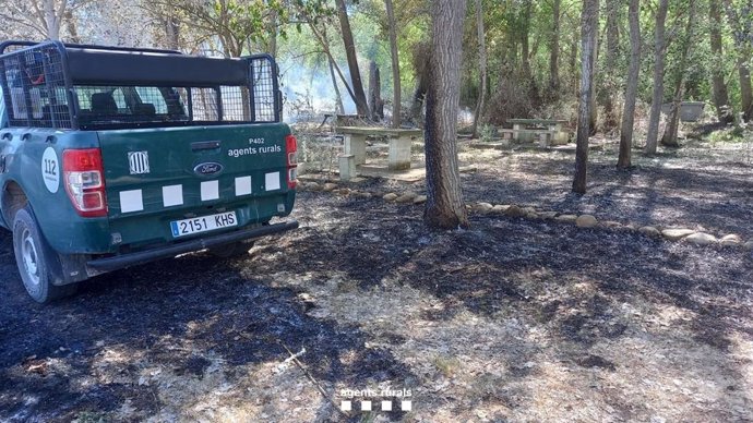 Imatge de l'incendi forestal estabilitzat a Algerri (Lleida)