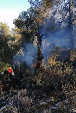 Efectivos del Plan Infomur trabajan en la extinción de un incendio forestal declarado en la sierra del Burete, en Cehegín (Murcia)