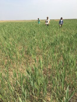 El equipo de investigación trabajando en China.