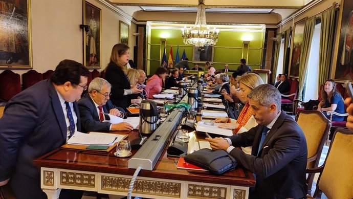 Pleno del Ayuntamiento de Oviedo.