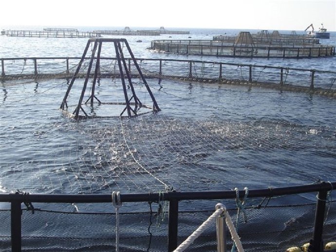 Archivo - Imagen de archivo de una explotación de acuicultura.