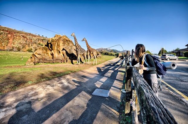 Archivo - Parque de la Naturaleza de Cabárceno