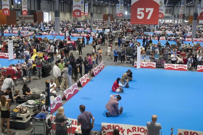 Archivo - World Dog Show, la exposición canina más importante a nivel mundial