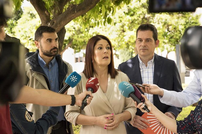 La candidata de Ciudadanos (CS) a la Alcaldía de Málaga, Noelia Losada, atiende a los medios en una imagen de archivo