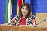 La Junta invita al PSOE a revisar in situ los contratos de emergencia, que lo ve "pensado para que no descubramos más"