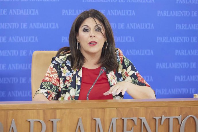 La portavoz del Grupo Socialista, Ángeles Férriz, este miércoles en rueda de prensa. 