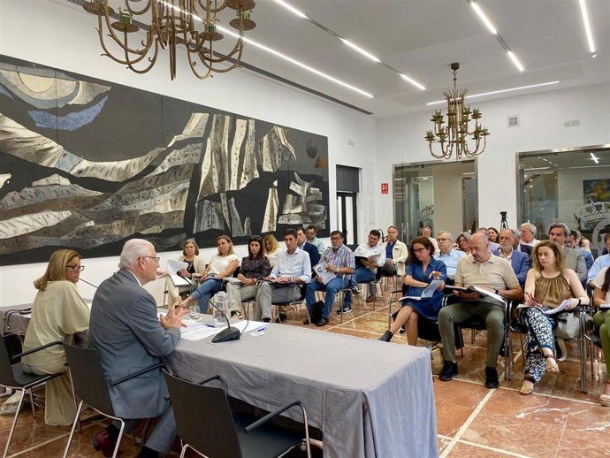 Pleno del Consejo Económico y Social de la Provincia de Huelva (CESpH).