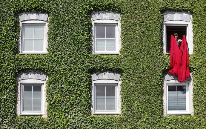 Archivo - 27 June 2022, Baden-Wuerttemberg, Duermentingen: A woman shakes a red blanket out of a window in her house overgrown with leaves. Photo: Thomas Warnack/dpa