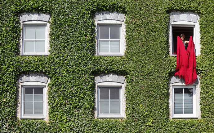 Archivo - 27 June 2022, Baden-Wuerttemberg, Duermentingen: A woman shakes a red blanket out of a window in her house overgrown with leaves. Photo: Thomas Warnack/dpa