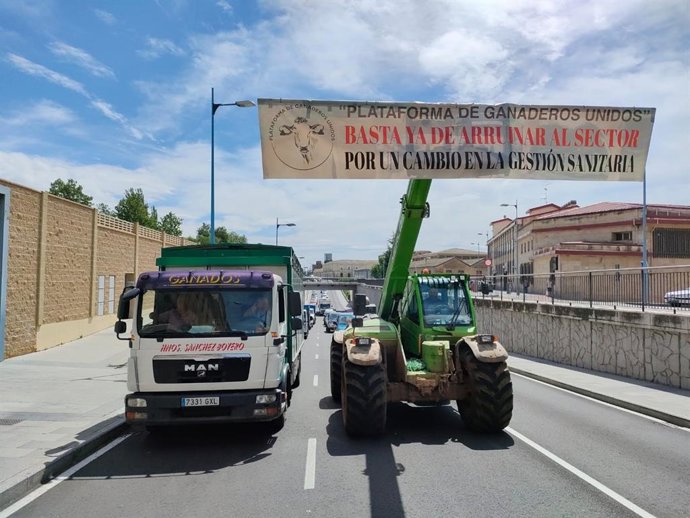 Manifestación de ganaderos en Salamanca.
