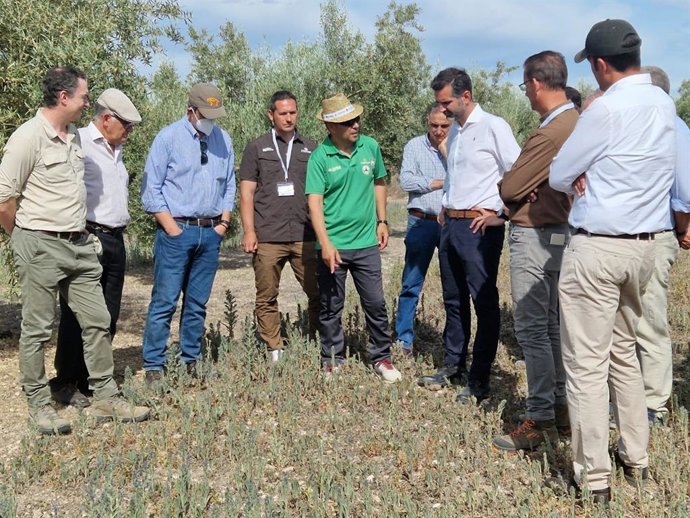 El consejero de Sostenibilidad, Medio Ambiente y Economía Azul de la Junta de Andalucía, Ramón Fernández-Pacheco (tercero por la dcha.), en su visita a Aguilar de la Frontera, municipio donde se desarrolla el proyecto europeo 'Framework'.