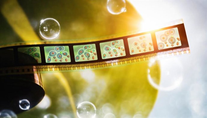 Usando el láser de rayos X de SLAC, los investigadores finalmente han visto el proceso por el cual la naturaleza crea el oxígeno que respiramos.