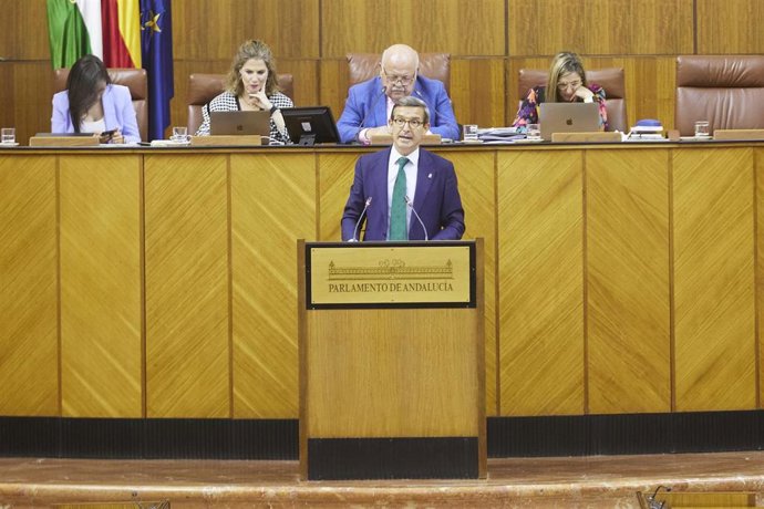 El consejero de Políticas para la Industria y la Energía de la Junta de Andalucía, Jorge Paradela, durante la primera jornada del Pleno del Parlamento andaluz en el Parlamento de Andalucía, a 3 de mayo de 2023 en Sevilla (Andalucía, España). En la décim