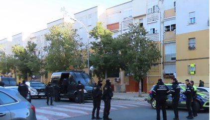 Cae en Sevilla una banda que distribuía marihuana por Europa en coches con doble fondo y se incautan 1.600 plantas