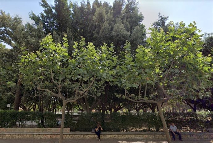 Parque Alquenencia de la localidad valenciana de Alzira