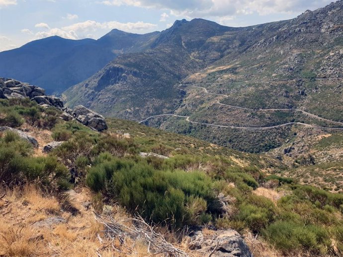 Proyecto de reforestación de Mapfre en Mijares (Ávila).