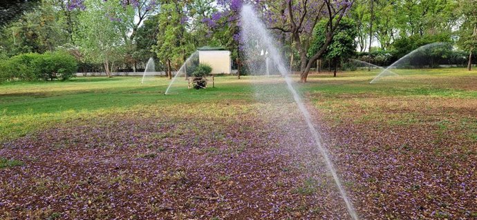 Riego automatizado en el Parque de los Príncipes de Sevilla.