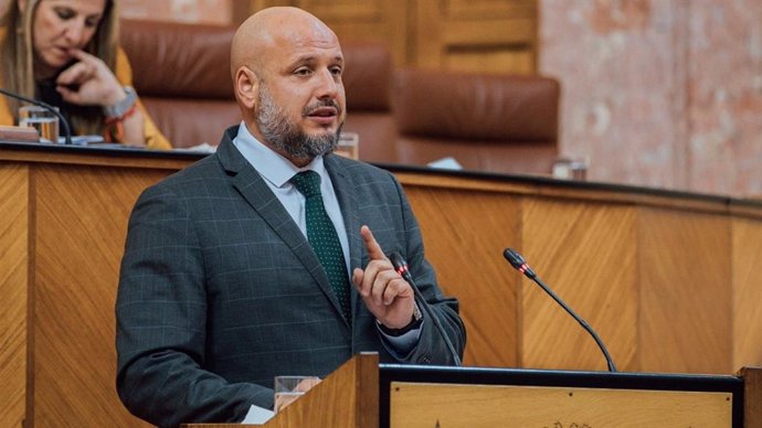 El portavoz adjunto de Vox en el Parlamento andaluz, Rodrigo Alonso, en el Pleno del Parlamento, archivo  